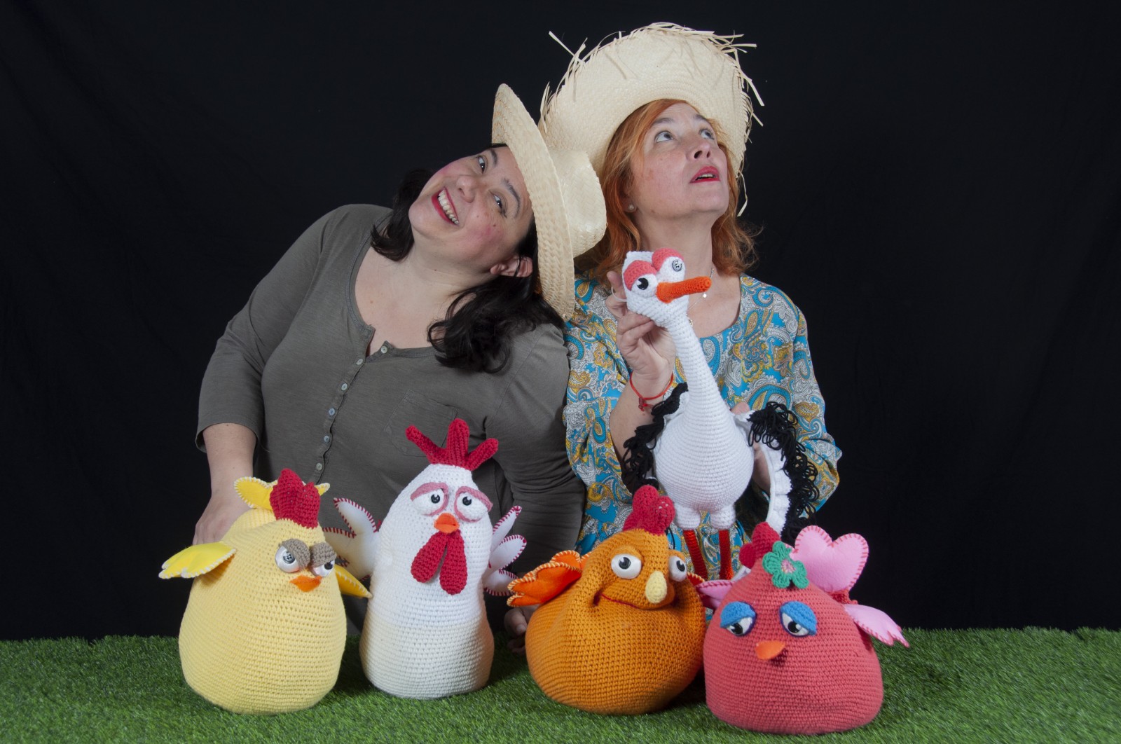 UNA CIGÜEÑA EN EL GALLINERO