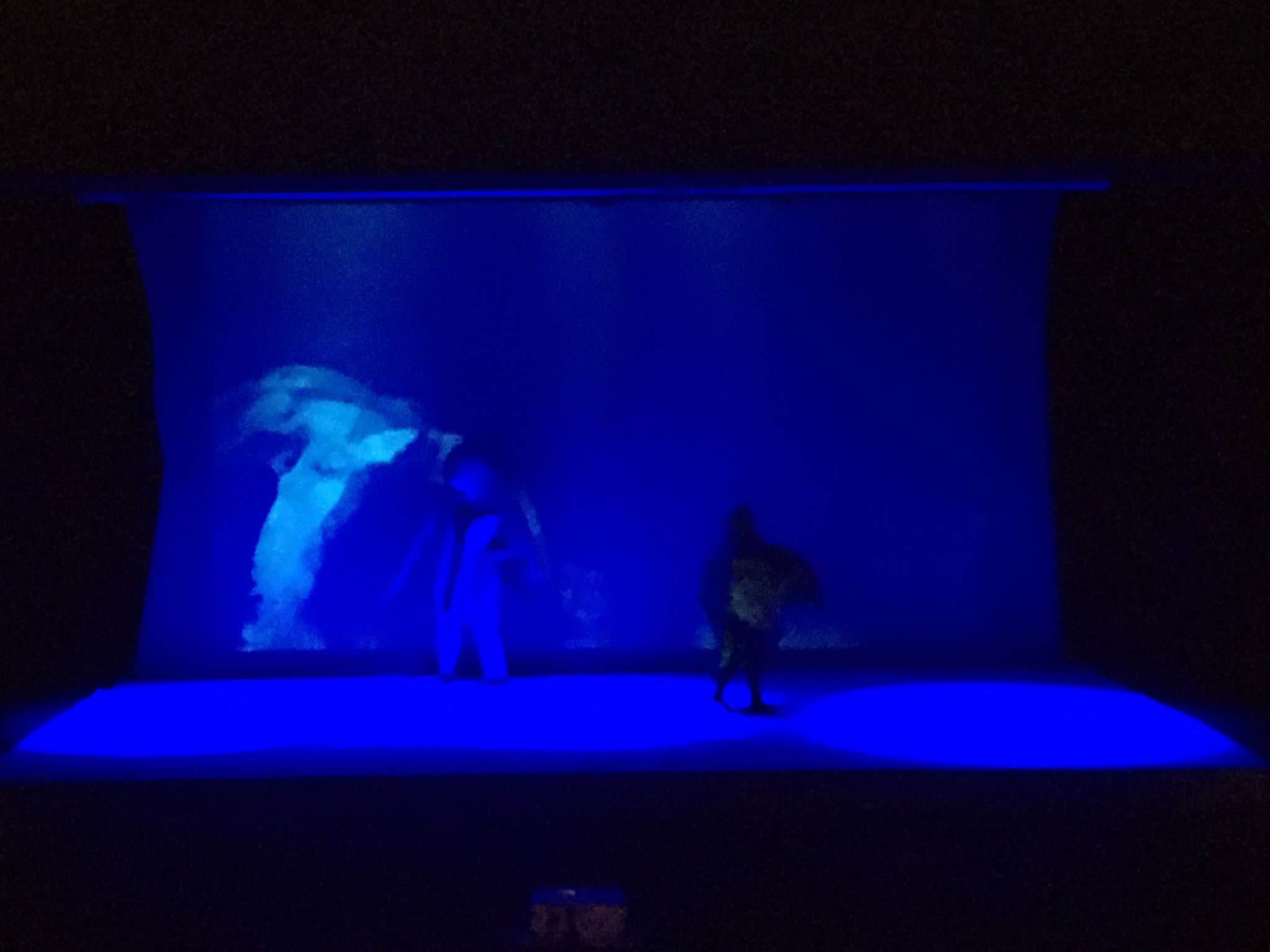 Tortuga número cien